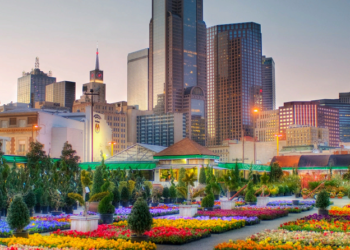 Marketing Ideas for business in Dallas