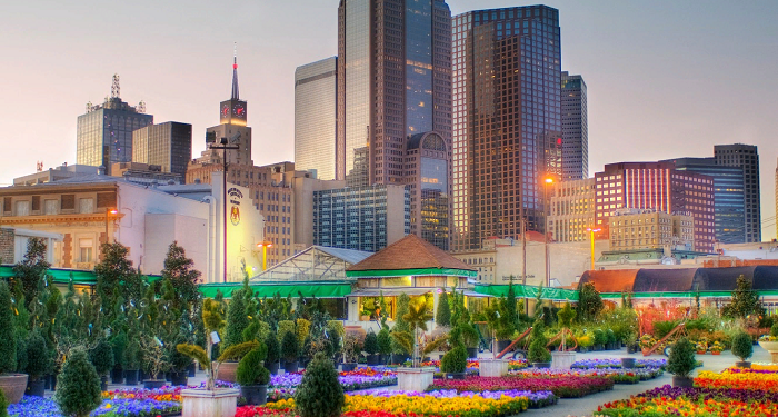 Marketing Ideas for business in Dallas