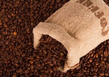 Магия кофе: путь от зерна до чашки ароматного напитка