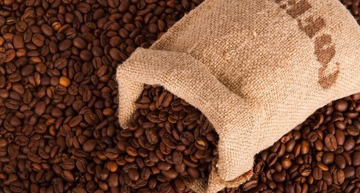 Магия кофе: путь от зерна до чашки ароматного напитка