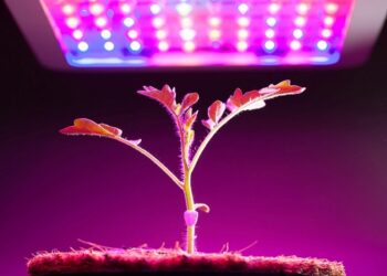 Фіто світлодіодні світильники для розсади навесні: ефективність та переваги