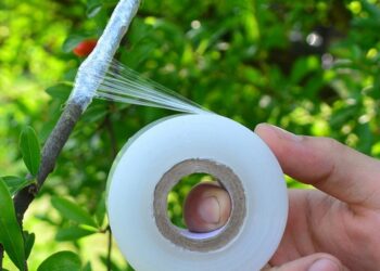 Що являє собою плівка для окулювання та як її правильно використовувати