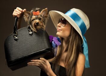 How to choose a branded bag: basic criteria and recommendations