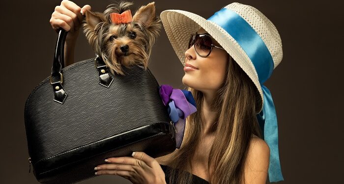 How to choose a branded bag: basic criteria and recommendations