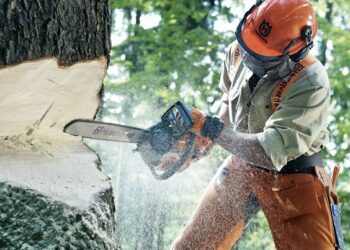 Оренда бензопил: основні переваги та особливості послуги