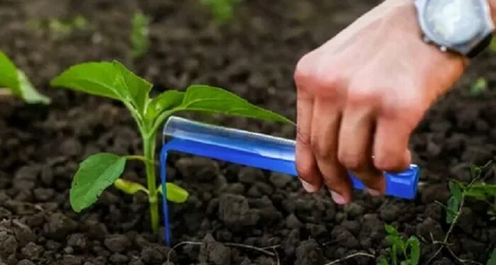 Микроудобрения: ключ к повышению урожайности вашего участка