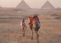 How to find the true soul of Egypt on your trip