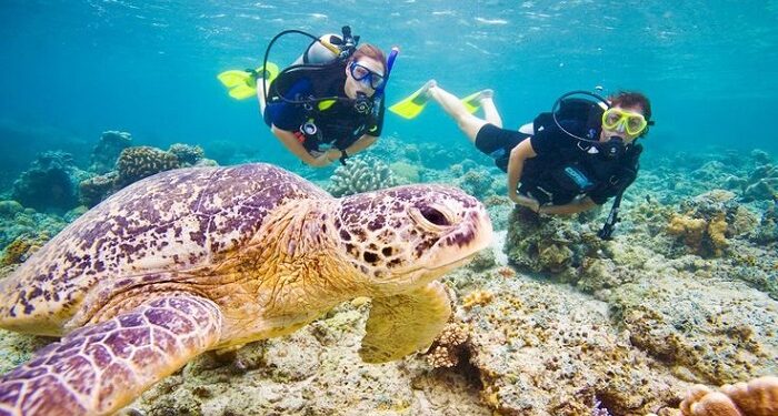 Ein unvergessliches abenteuer in der unterwasserwelt von Marsa Alam